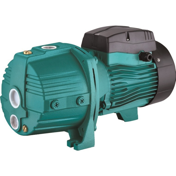Насос LEO AJDM110/4H с внешним эжектором L2710